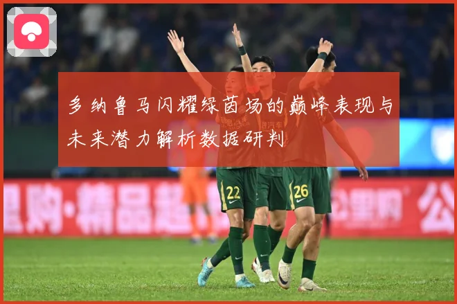 多纳鲁马闪耀绿茵场的巅峰表现与未来潜力解析数据研判
