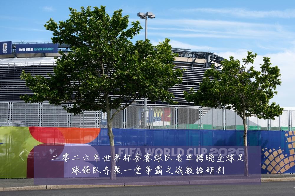 二零二六年世界杯参赛球队名单揭晓全球足球强队齐聚一堂争霸之战数据研判